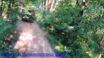 ����������� ������ ���������� ������������� � ���� ����������� �������