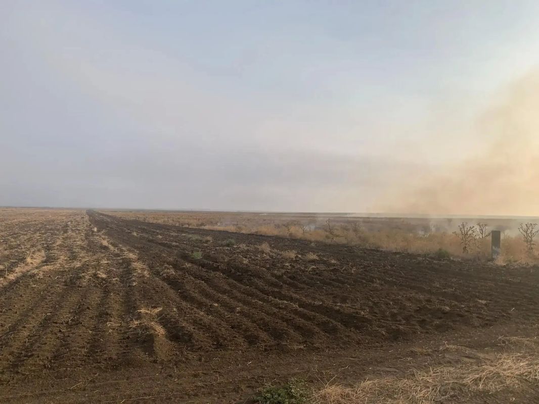 Возгорание в степной зоне у Гаевского лесничества локализовали Возгорание в степной зоне у Гаевского лесничества локализовали