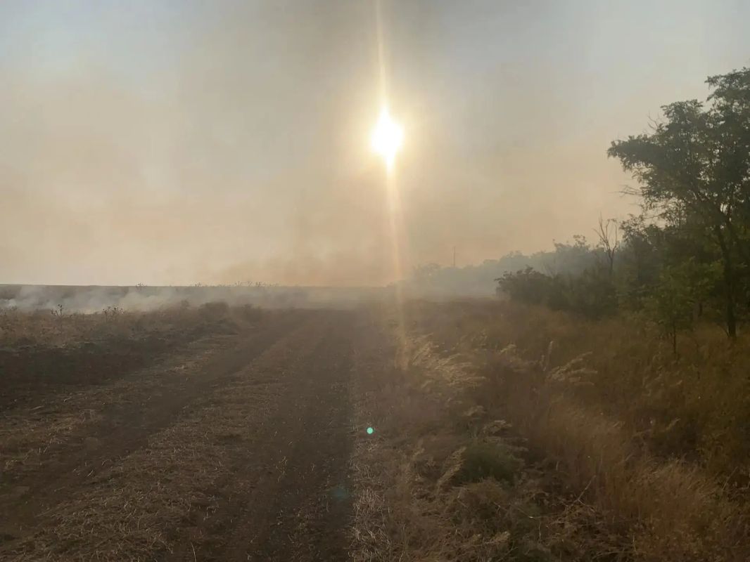 Возгорание в степной зоне у Гаевского лесничества локализовали