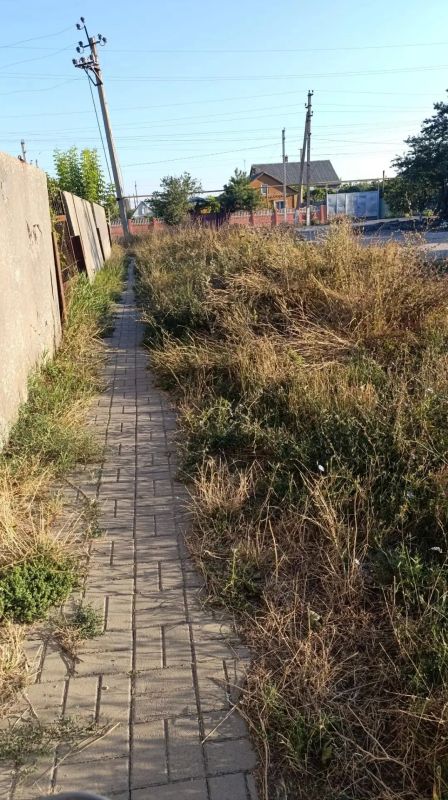 Еженедельный прием главы Генического округа: итоги и решения Еженедельный прием главы Генического округа: итоги и решения