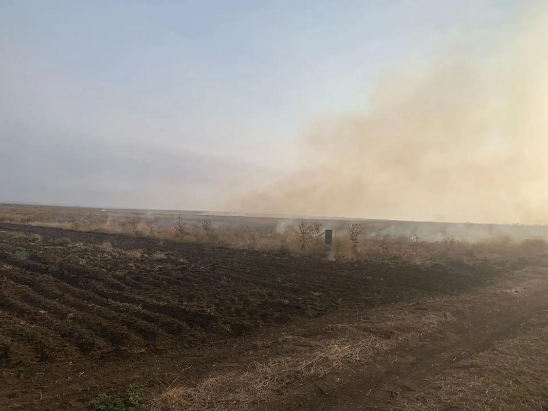 Возгорание в степной зоне у Гаевского лесничества локализовали Возгорание в степной зоне у Гаевского лесничества локализовали