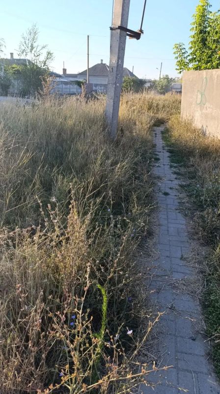 Еженедельный прием главы Генического округа: итоги и решения Еженедельный прием главы Генического округа: итоги и решения