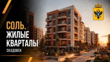 Владимир Сальдо называет Скадовск одним из самых перспективных городов Херсонской области