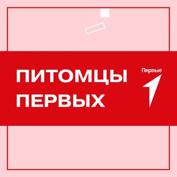 ������ � �� �������!. ������, �� ������������ � ��� � �������� ��������! ������� ���������� �������� ������ ����� ������� ��������� � ����� �������� ������������ ����� � ��������