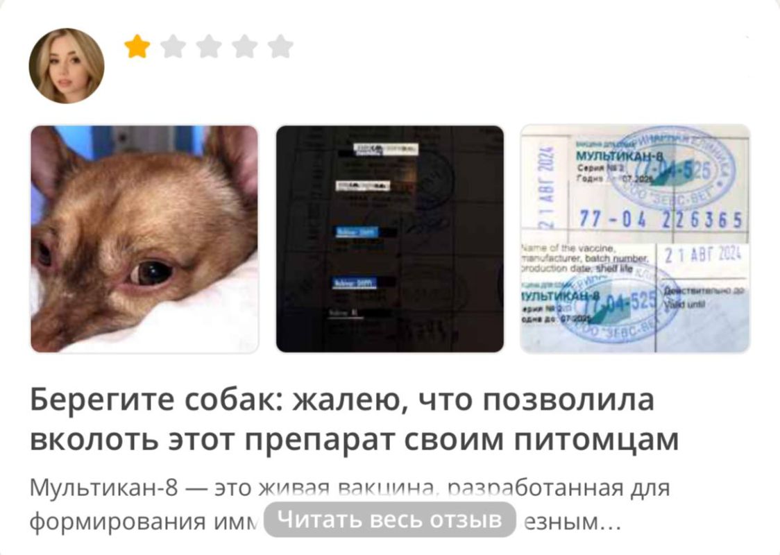 Сотни собак оказались при смерти после прививки от бешенства «Мультикан-8», — Mash