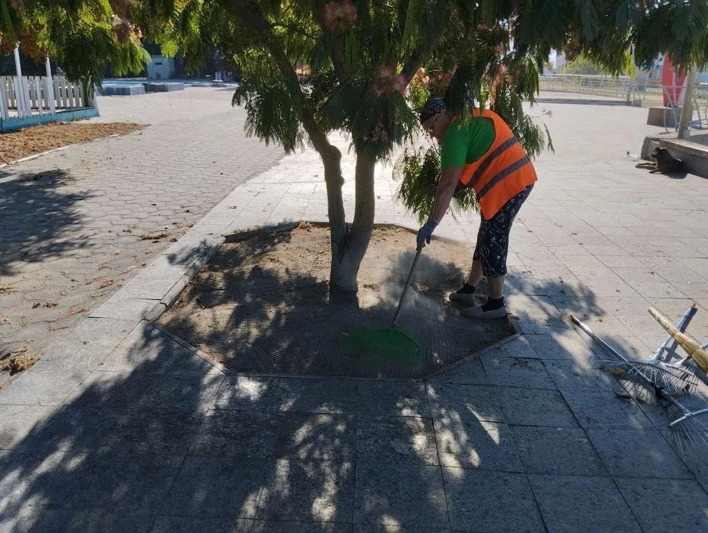 В Скадовске продолжаются плановые работы по благоустройству В Скадовске продолжаются плановые работы по благоустройству