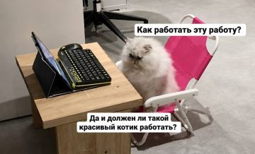 �������� ����� ����� ������ � 1 ��������