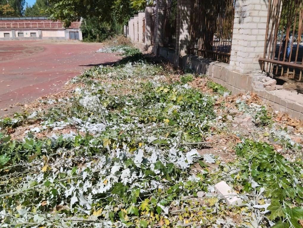 В Скадовске продолжаются плановые работы по благоустройству В Скадовске продолжаются плановые работы по благоустройству