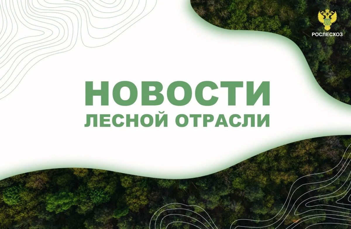 Аргументы и факты: В Югре нет действующих лесных пожаров