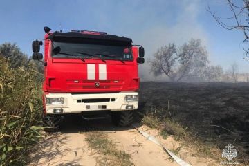 За сутки в Херсонской области произошли семь пожаров