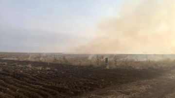 Природный щит: профилактика пожаров спасла лес в Гаевском лесничестве