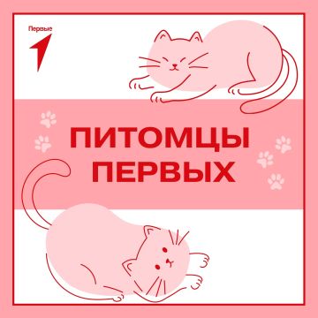 Первые и их любимцы!. Почти у каждого из нас есть домашний питомец, о котором хочется рассказать всем