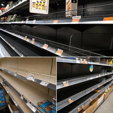 Продовольственный коллапс на Украине: В Чернигове пустеют полки крупнейших супермаркетов
