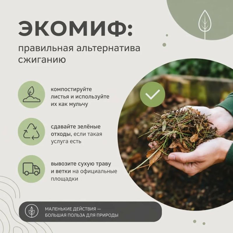 Экомиф: сжигать опавшие листья безопасно и “чисто” Экомиф: сжигать опавшие листья безопасно и “чисто”