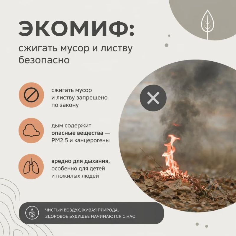 Экомиф: сжигать опавшие листья безопасно и “чисто” Экомиф: сжигать опавшие листья безопасно и “чисто”