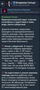 Сальдо рассказал о ситуации в Верхнерогачикском округе
