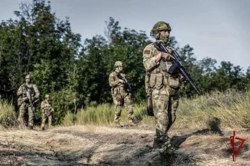 Росгвардия за месяц задержала более 390 лиц, нарушавших режим военного положения, в Запорожской и Херсонской областях