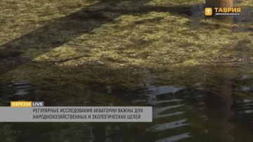 Наталья Мирзоева: радиационная обстановка в Азовском море благоприятна, но превышены показатели по кадмию, свинцу и меди