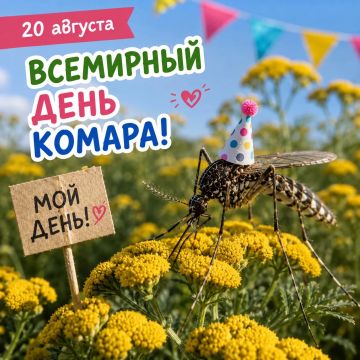 ��������� ����: ��� �� ��� ����?
