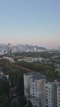 � ��� ����: ���������� ������