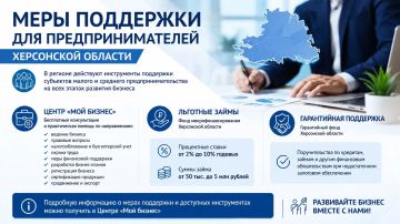 Меры поддержки для предпринимателей Херсонской области
