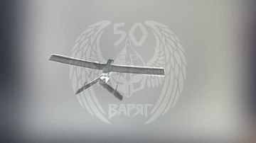 Бойцы «Варяга» сбивают дроны ВСУ