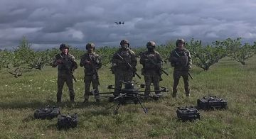 Друзья, давно вас не тревожили