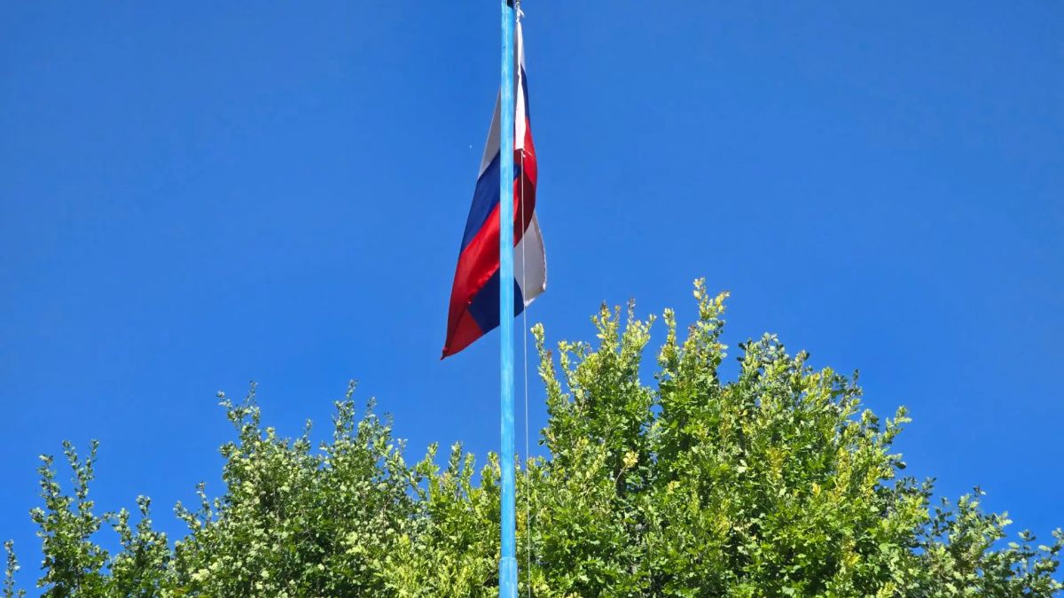 Надежда Бабешко: 22 августа - День Государственного флага Российской Федерации! Надежда Бабешко: 22 августа - День Государственного флага Российской Федерации!