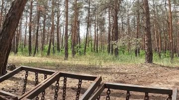 ��� �������������� ��������� � ���������� ������� ���������� �����-���������� ��������� ���� �������