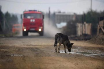 В Херсонской области ожидается чрезвычайная пожароопасность 23 и 24 августа