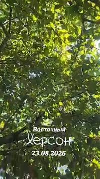 ������, 23 ������� 2026. ���������