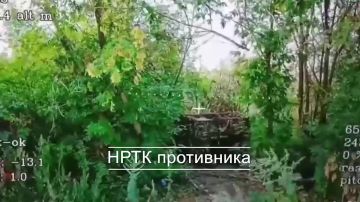 ���� ������ �������. ��� ����� ������� �������� � ������, ��� ���� ����, ��� ��������� ������ ������� �������� ��������������� ������