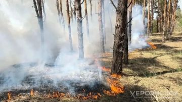 � ���������� ������� ��������� ������������ ���������������