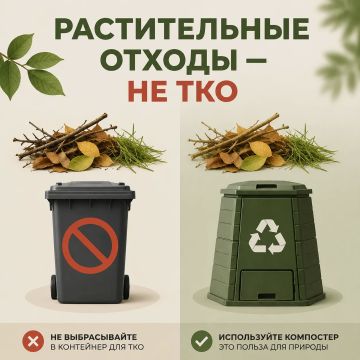 Листья — не мусор: растительные отходы нельзя оставлять у контейнеров