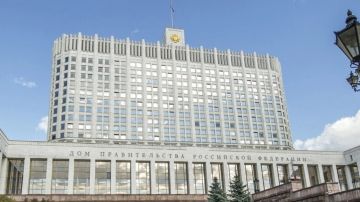 Правительство РФ поддержит пострадавший от атак БПЛА на Wildberries бизнес