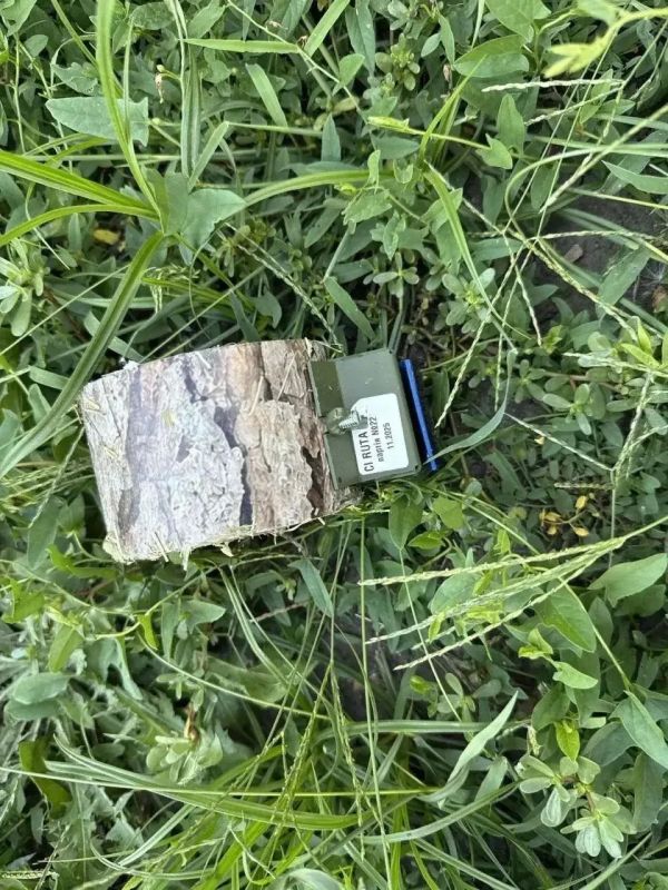 Вражеские мины маскируют под пеньки Вражеские мины маскируют под пеньки