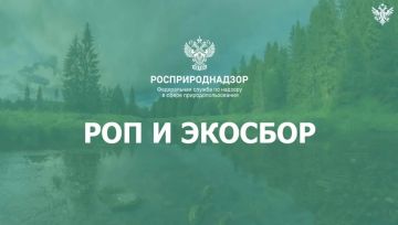 Росприроднадзор разъяснил порядок подачи отчётности по экологическому сбору