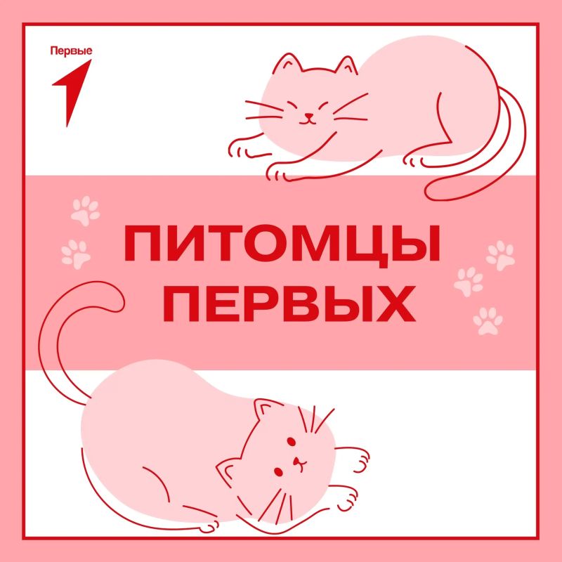 Первые и их любимцы!. Продолжаем рассказывать вам о пушистых животных наших активистов