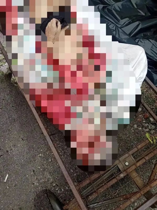 Руслан Хоменко: 21+ Две недели беспрецедентной опасности для мирных жителей Алешкинского округа Руслан Хоменко: 21+ Две недели беспрецедентной опасности для мирных жителей Алешкинского округа
