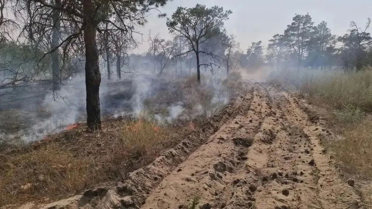 За неделю в Голопристанском лесхозе ликвидировали пять лесных пожаров на площади 68,8 га За неделю в Голопристанском лесхозе ликвидировали пять лесных пожаров на площади 68,8 га