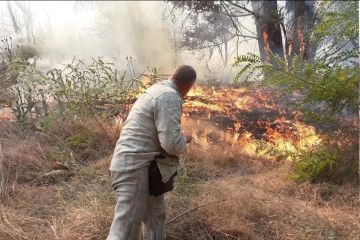 В Голопристанском округе потушили пять лесных пожаров