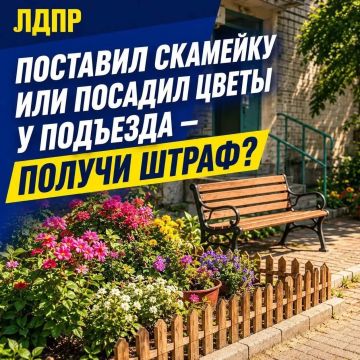 Штраф за обычные дела у собственного дома?