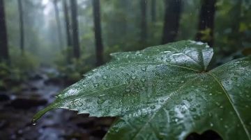 18-20 �������� � �� ��������� ������ ��������� �������
