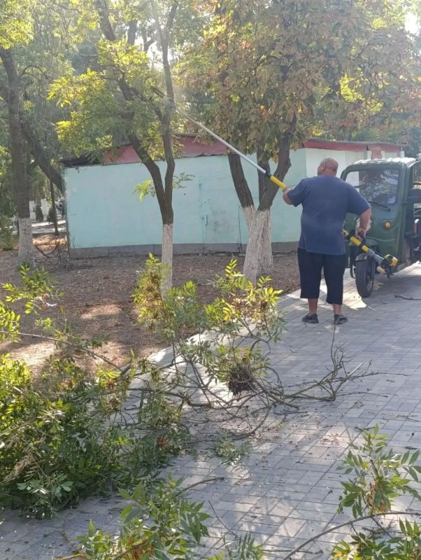Наведение порядка: от стихийных свалок до детских площадок Наведение порядка: от стихийных свалок до детских площадок