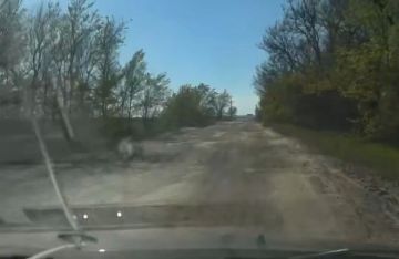 26 миллионов на дорогу, которой нет