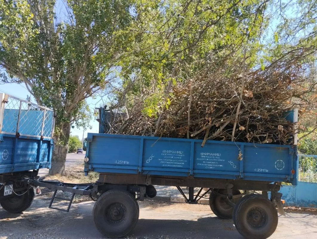 В Скадовске продолжаются плановые работы по благоустройству В Скадовске продолжаются плановые работы по благоустройству