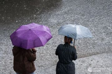 ������ �� ����� ����������� ������