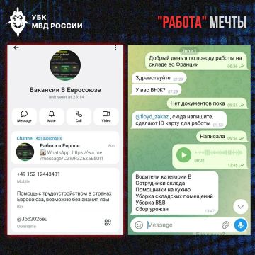 Работа мечты за границей: как мошенники используют тему трудоустройства