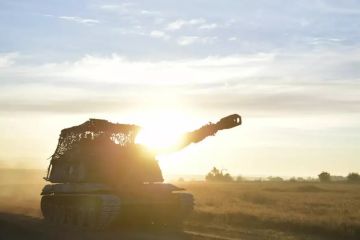Подразделения группировки войск «Днепр» нанесли поражение живой силе и технике ОМБр ВСУ и БрТРО в районах н.п. Димитрово, Орехов и Новояковлевка Запорожской области