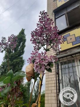 � ������� � ����� ������� ����� ������� ������